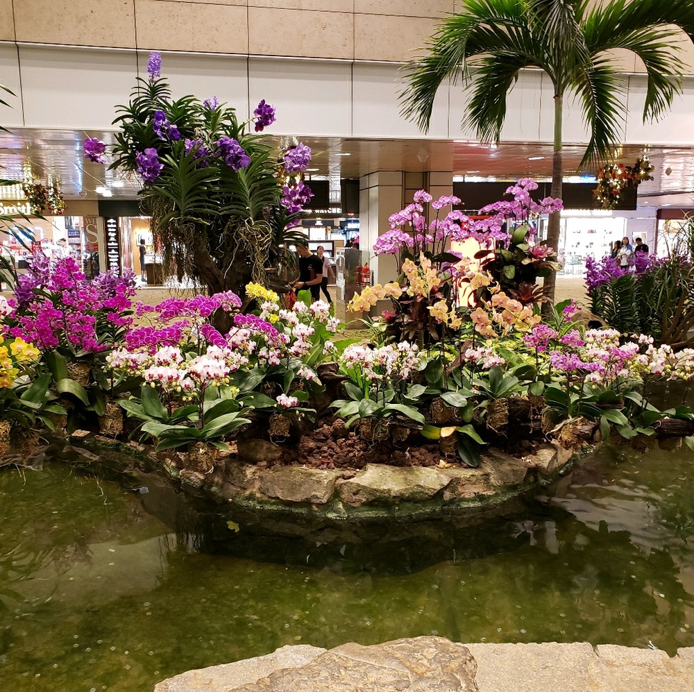 Meet your Posher, Audrey